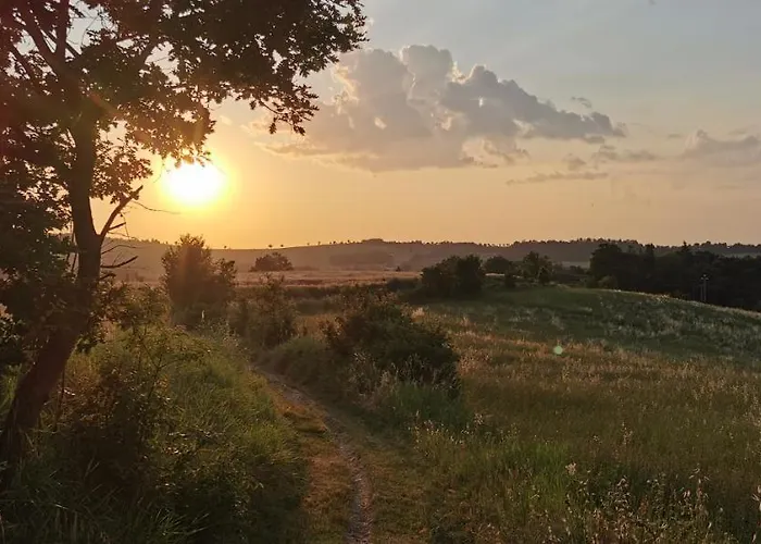 Cerlino's Bed & Breakfast Reggio Emilia